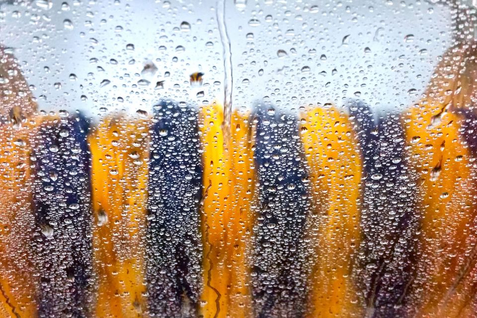 Myjnia samoobsługowa